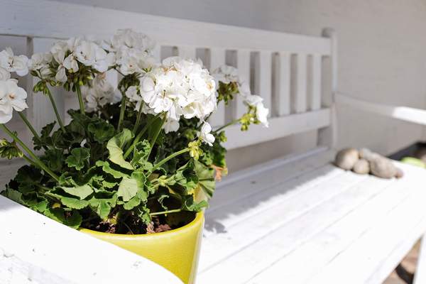 Baring Strand Northern Funen Denmark Holiday Home 35141